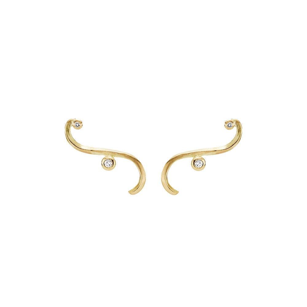 Ribbon slangeørering, stikørering